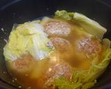 白菜と肉団子いっしょ煮込み作り方7写真