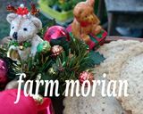 マクロビクリスマス♪国産小麦の全粒タルト作り方9写真