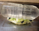 とっても簡単！！ビニール袋で白菜のお漬物作り方16写真
