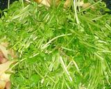 創味シャンタンDXで豆苗エリンギ炒め作り方4写真