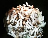 ＊リメイクも楽しめる鶏肉のトマト煮込み＊作り方5写真