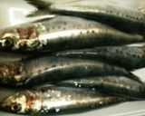 ♪魚♪鰯のソフトすり身作り方1写真