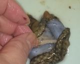ナマコ酢作り方4写真