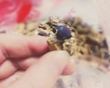 おふくろの味♪ピーナッツとほうれん草和え作り方2写真