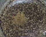 ほっこりふろふき大根!黒ごまあん仕立て作り方3写真