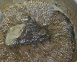 ほっこりふろふき大根!黒ごまあん仕立て作り方4写真
