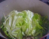 鳥＆新玉＆キャベツのうまうま煮♪作り方4写真