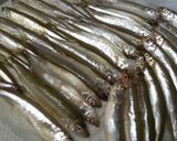 絶品！網走湖産ワカサギの南蛮漬け作り方1写真