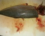 魚の捌き方(三枚おろし)作り方7写真