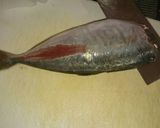 魚の捌き方(三枚おろし)作り方4写真