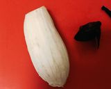 簡単☆すぐできる！蒸し茄子の胡麻和え作り方1写真