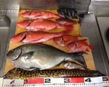 【釣食】イズスミのタキタキ作り方1写真