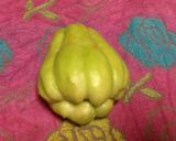 ハヤトウリの卵スープ作り方1写真