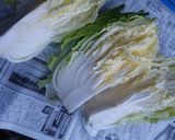 白菜の手作り本格キムチ作り方1写真