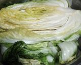 白菜の手作り本格キムチ作り方4写真