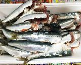 活力鍋☆骨ごと食べるイワシ煮作り方1写真