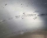 白菜の水煮。(笑)作り方3写真