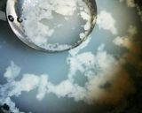 簡単！鱈の白子DEとろっとろ湯豆腐♪作り方6写真