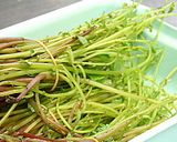 山菜料理「みずぶき」作り方2写真