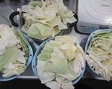 札幌大珠のキャベツ漬け作り方1写真