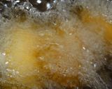 簡単にベビーホタテのクリームコロッケ作り方11写真