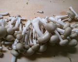 簡単♪豚ヒレ肉 白菜ロールの和風煮込み！作り方1写真