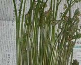 ワラビとタケノコde煮物作り方1写真