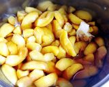 えゐちの林檎煮作り方10写真