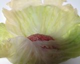 めちゃ旨！ちょい和風ロールキャベツ★*作り方4写真