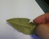 安心！簡単！安い！手作りホワイトソース！作り方5写真