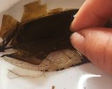 黄金のヒイラギ★べっこう飴細工作り方2写真