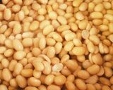 自家製味噌作り方3写真