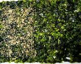 クルミ韓国海苔お菓子作り方4写真