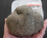 ストウブで揚げ物ふわふわ山芋の海苔巻揚げ作り方1写真