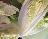 簡単 足で踏み踏み 自家製白菜漬け作り方1写真
