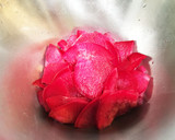 大根(紅くるり大根)の浅漬け、ゆず風味作り方1写真