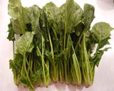 ほうれん草は生のままで冷凍保存 3通り 作り方1写真