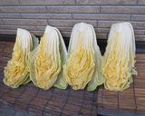 白菜漬け（オレンジクイン）：道の駅どうし作り方3写真