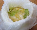 白菜漬け（オレンジクイン）：道の駅どうし作り方7写真