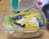 白菜漬け（オレンジクイン）：道の駅どうし作り方10写真