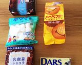 市販のチョコとマシュマロで簡単お菓子の家作り方6写真