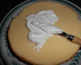 クリスマスツリーケーキ☆作り方3写真