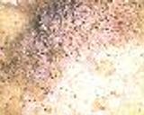 冷めても美味しい鰻どんぶりぃ作り方2写真