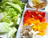 白菜と鶏ひき肉de中華風✿薬味炒め♥作り方1写真