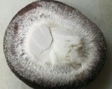 ウインナーマヨのしいたけカップ♪一味うま作り方2写真