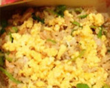 まぐろフレークで♪簡単ちらし寿司作り方13写真