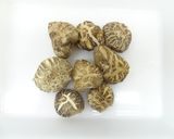 粉末器で干しシイタケの粉末化作り方1写真