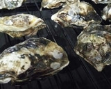 簡単☆殼つき牡蠣の魚焼きグリル焼き作り方3写真
