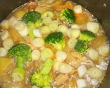 鶏肉じゃが煮込み✨作り方5写真