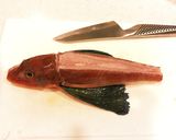 ホウボウのアクアパッツァ作り方1写真